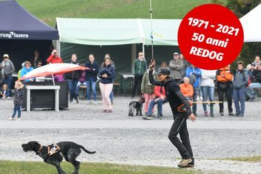 50esimo anniversario di REDOG - Manifestazione della ricerca in superfice Svizzera centrale 