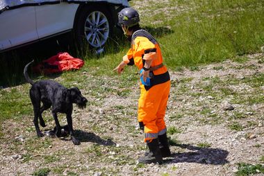 Katastrophensuchhunde Training Wien - 2023