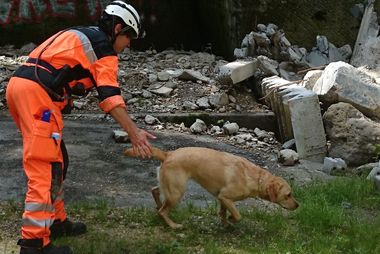 Entraînement chiens de catastrophe à Ostermundigen