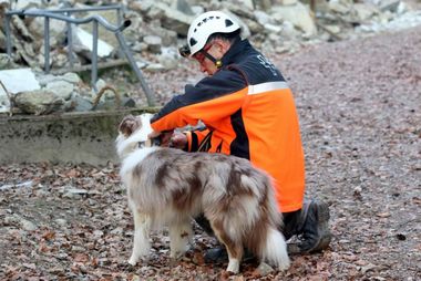 Prüfung Katastrophensuchhunde Berner Oberland 2015