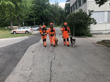 Katastrophensuchhunde Einsatzübung mit Zivilschutz- 2019