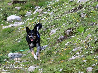 2023 08 Grimseltraining13