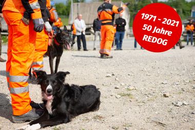 50 Jahre REDOG - Tag der offenen Tür Regionalgruppen Waadt und Genf