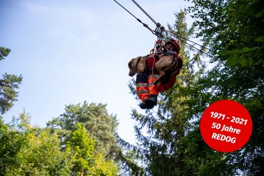 Jubiläum: 50 Jahre REDOG 2021