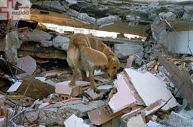2003 - Einsatz in Algerien